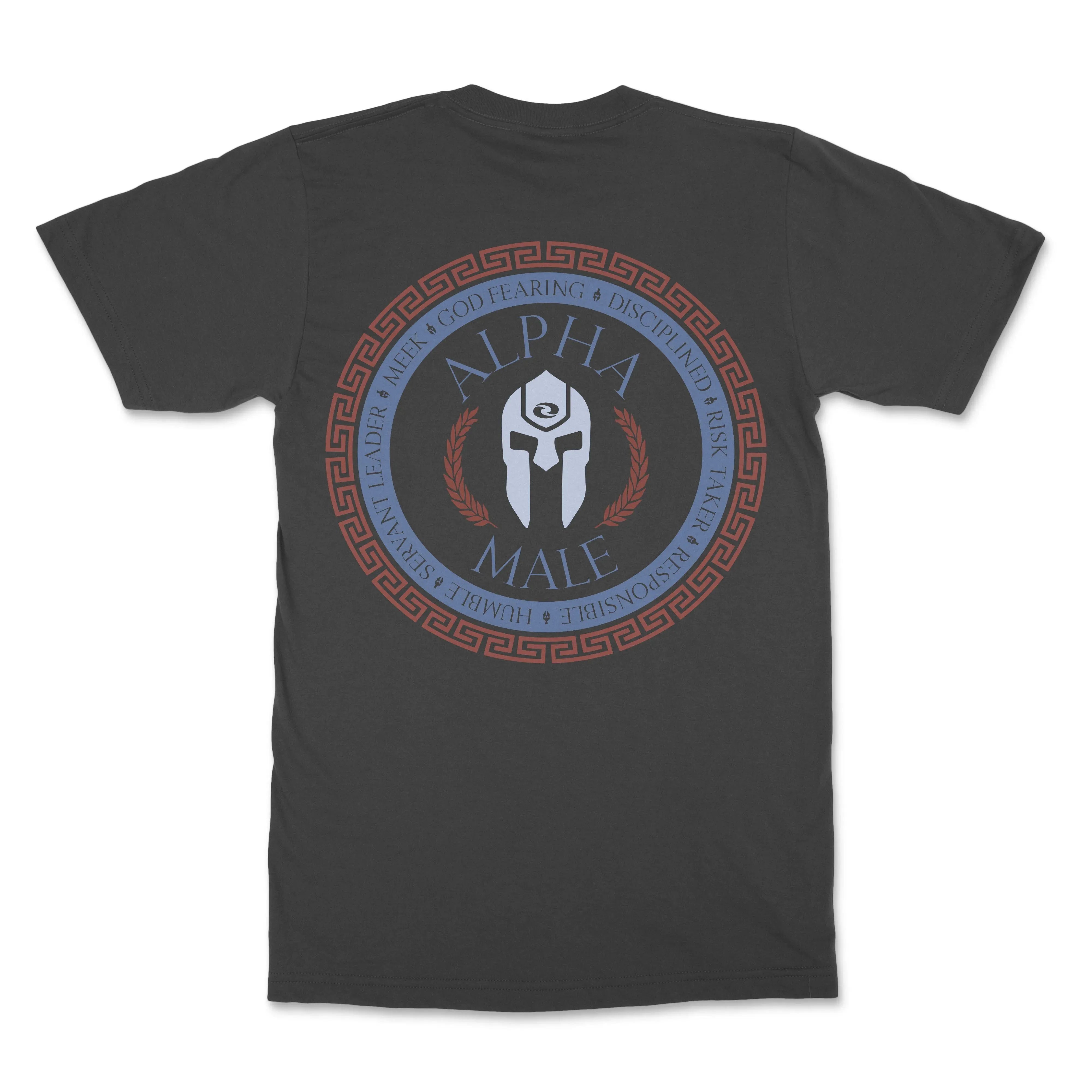 Alpha Male Mens Christian T-shirt - Christian Apparel by FIVE2