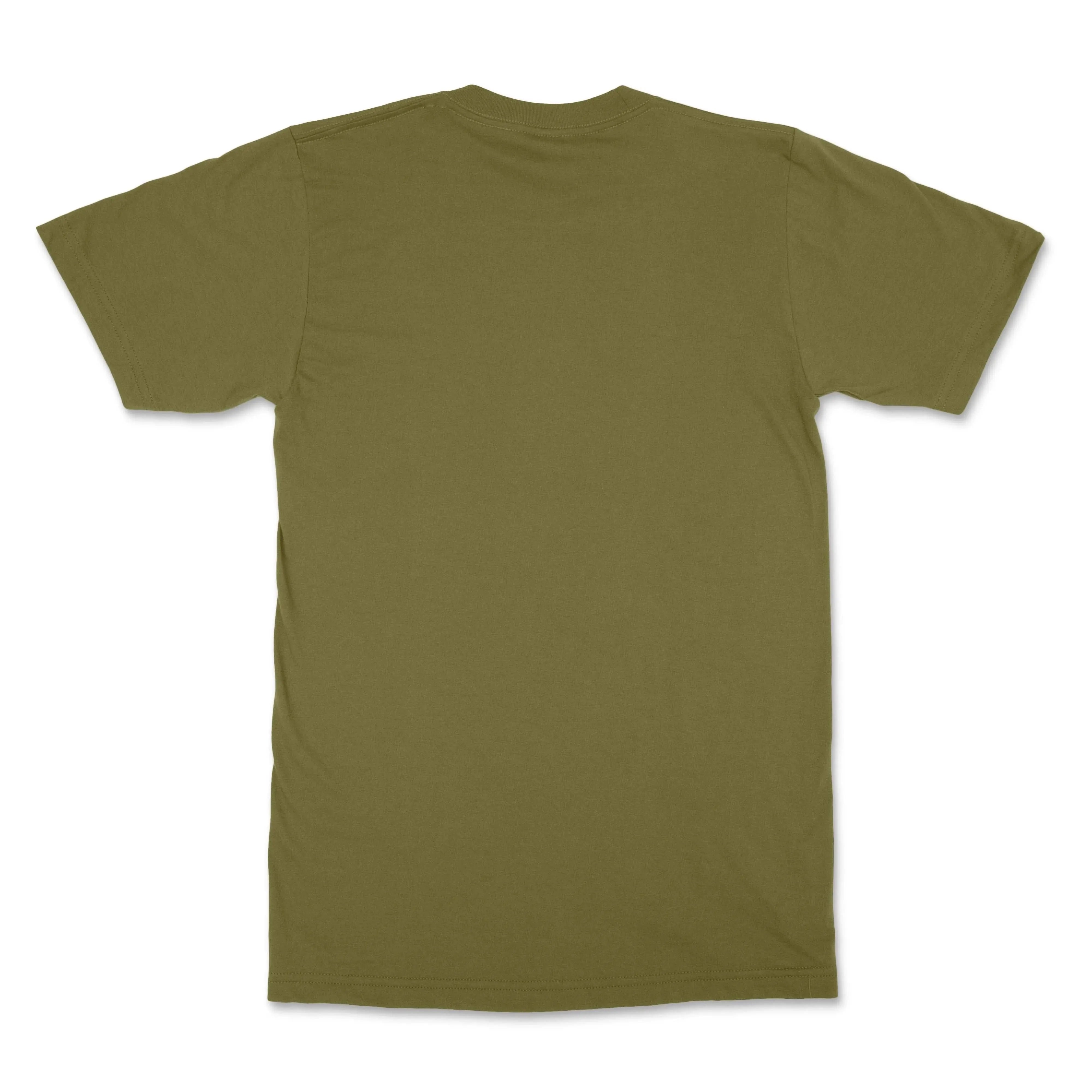 Soar Like Eagles Christian T-shirt - Christian Apparel by FIVE2