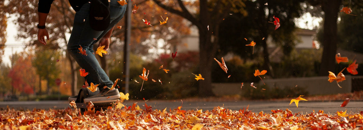 Faith in the Change | What Fall Teaches Us About Seasons of Life