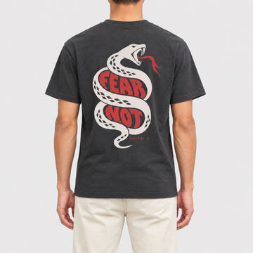 Fear Not Tee  - Christian Apparel by FIVE2